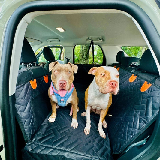 Dog Car Seat Cover vs. Hammock vs. Extender: Which Is Right for You?