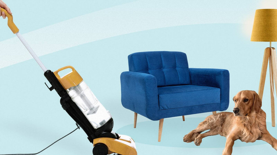 Unexpected Ways to Use Your KRODEX™ Vacuum Beyond the Car